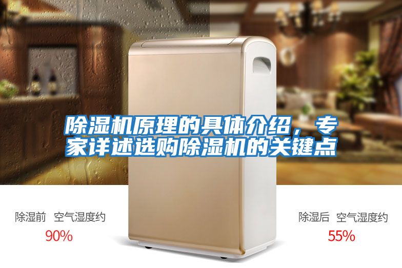 除濕機原理的具體介紹，專家詳述選購除濕機的關鍵點