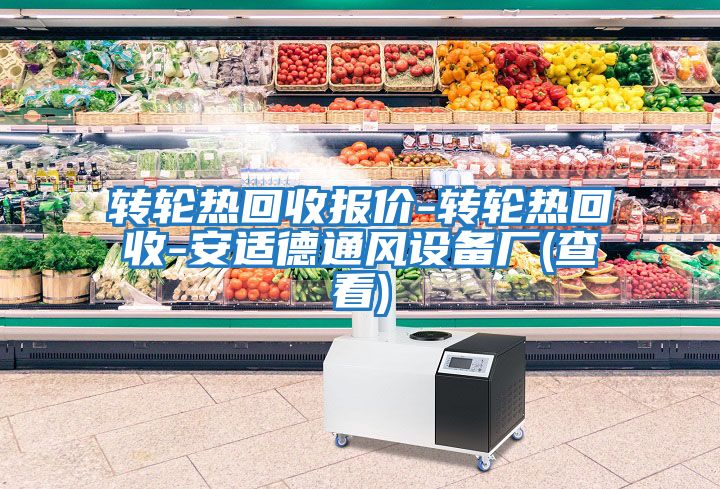 轉(zhuǎn)輪熱回收報(bào)價(jià)-轉(zhuǎn)輪熱回收-安適德通風(fēng)設(shè)備廠(查看)