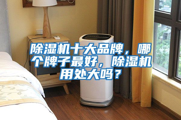 除濕機十大品牌，哪個牌子最好，除濕機用處大嗎？