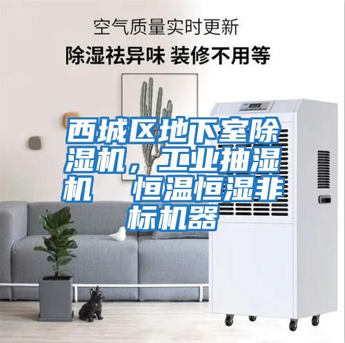 西城區(qū)地下室除濕機，工業(yè)抽濕機  恒溫恒濕非標機器