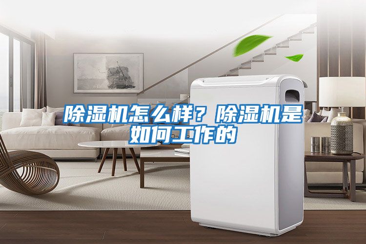 除濕機怎么樣？除濕機是如何工作的