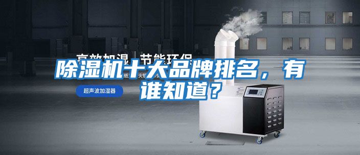 除濕機十大品牌排名，有誰知道？