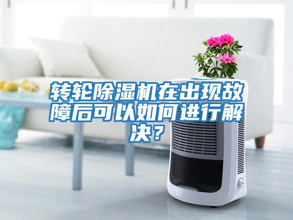 轉輪除濕機在出現故障后可以如何進行解決？