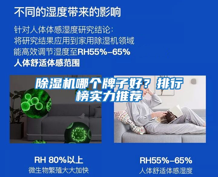 除濕機(jī)哪個牌子好？排行榜實力推薦