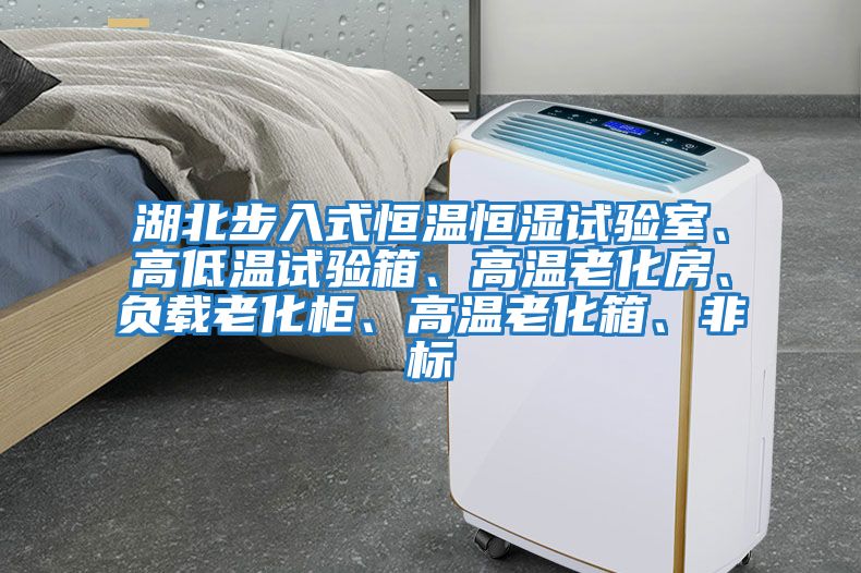 湖北步入式恒溫恒濕試驗室、高低溫試驗箱、高溫老化房、負載老化柜、高溫老化箱、非標