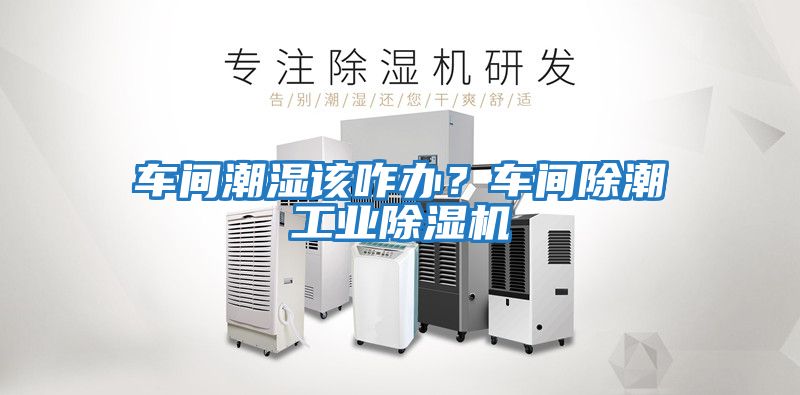 車間潮濕該咋辦？車間除潮工業除濕機