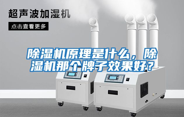 除濕機原理是什么，除濕機那個牌子效果好？