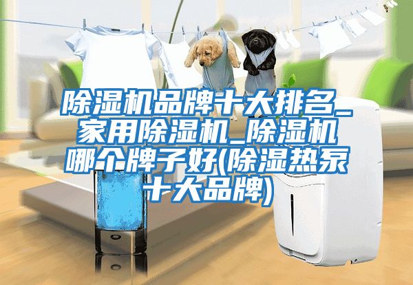 除濕機(jī)品牌十大排名_家用除濕機(jī)_除濕機(jī)哪個牌子好(除濕熱泵十大品牌)
