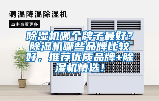 除濕機(jī)哪個(gè)牌子最好？除濕機(jī)哪些品牌比較好，推薦優(yōu)質(zhì)品牌+除濕機(jī)精選！