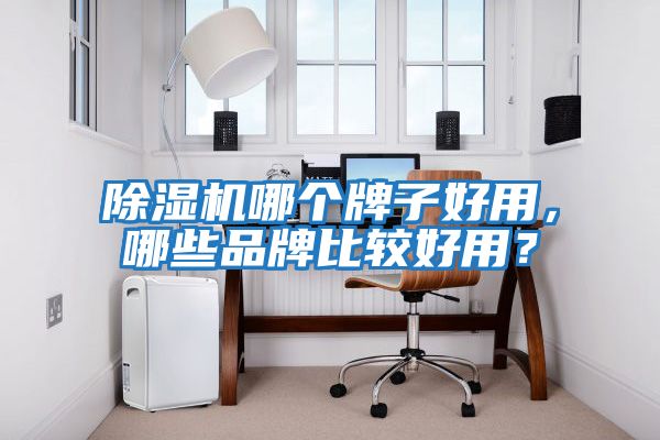 除濕機哪個牌子好用，哪些品牌比較好用？