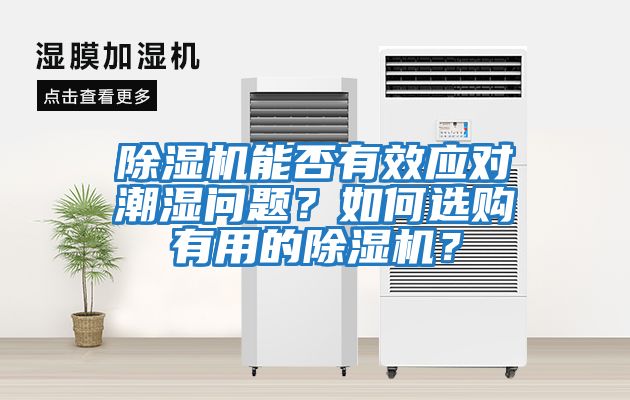 除濕機能否有效應對潮濕問題？如何選購有用的除濕機？