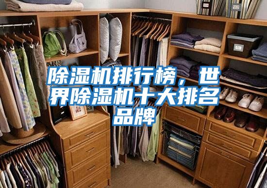 除濕機排行榜，世界除濕機十大排名品牌