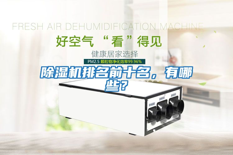 除濕機排名前十名，有哪些？