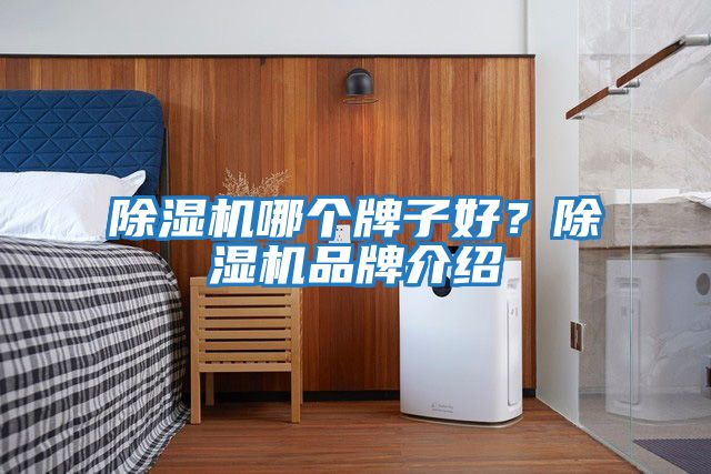 除濕機(jī)哪個牌子好？除濕機(jī)品牌介紹