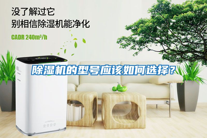 除濕機的型號應該如何選擇？