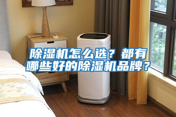 除濕機(jī)怎么選？都有哪些好的除濕機(jī)品牌？