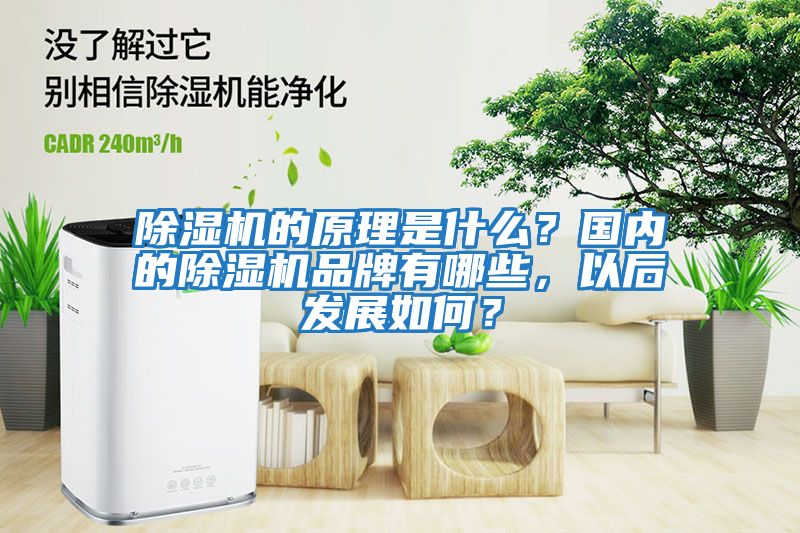 除濕機的原理是什么？國內的除濕機品牌有哪些，以后發展如何？