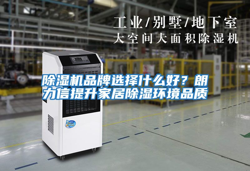 除濕機品牌選擇什么好？朗力信提升家居除濕環境品質