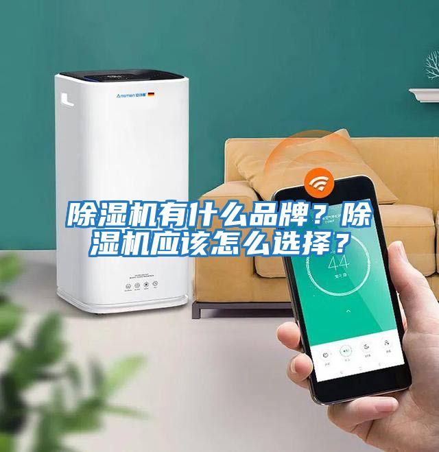 除濕機有什么品牌？除濕機應(yīng)該怎么選擇？