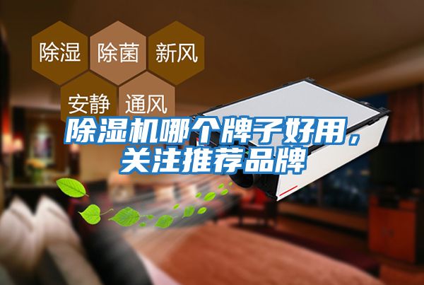 除濕機哪個牌子好用，關注推薦品牌