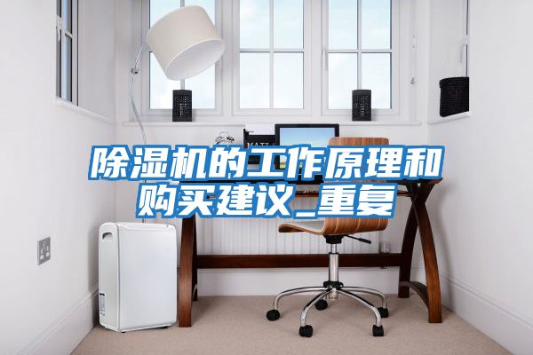 除濕機(jī)的工作原理和購(gòu)買建議_重復(fù)