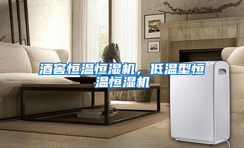 酒窖恒溫恒濕機(jī)，低溫型恒溫恒濕機(jī)
