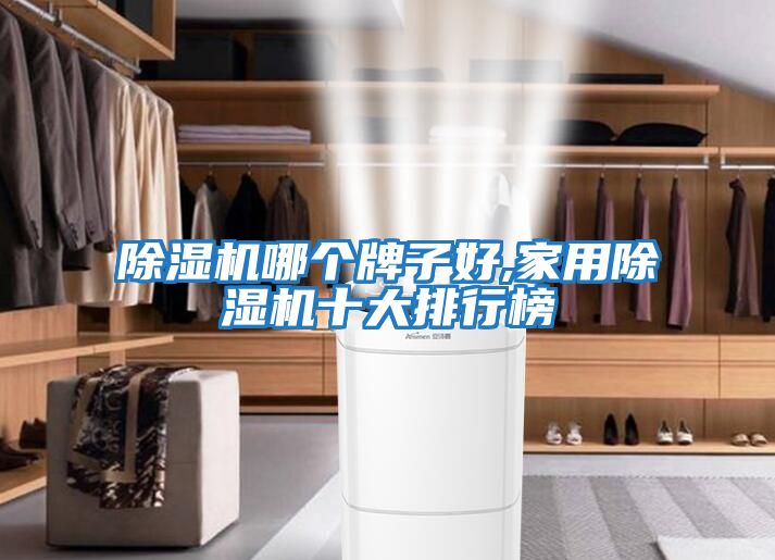 除濕機(jī)哪個牌子好,家用除濕機(jī)十大排行榜