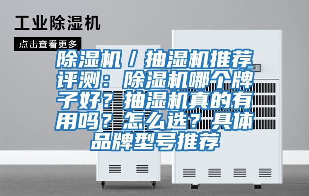 除濕機／抽濕機推薦評測：除濕機哪個牌子好？抽濕機真的有用嗎？怎么選？具體品牌型號推薦