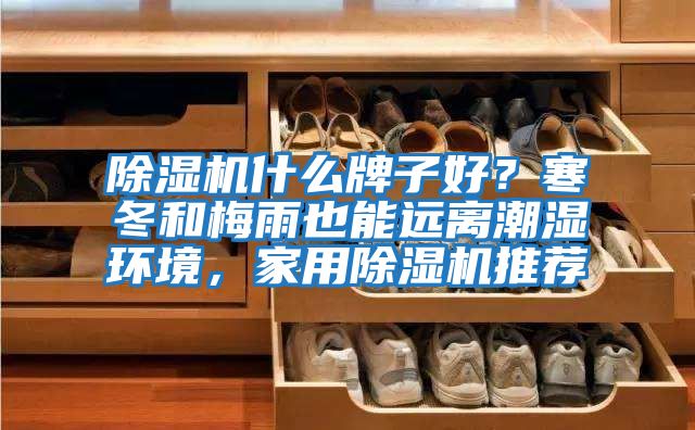除濕機什么牌子好？寒冬和梅雨也能遠離潮濕環境，家用除濕機推薦