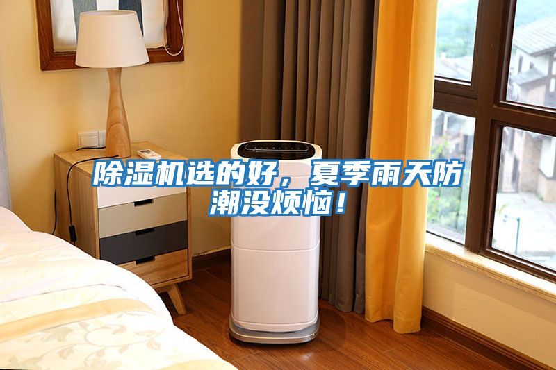 除濕機(jī)選的好，夏季雨天防潮沒煩惱！