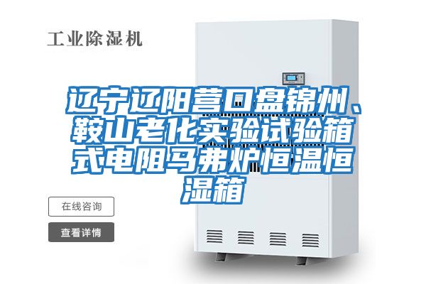 遼寧遼陽(yáng)營(yíng)口盤錦州、鞍山老化實(shí)驗(yàn)試驗(yàn)箱式電阻馬弗爐恒溫恒濕箱
