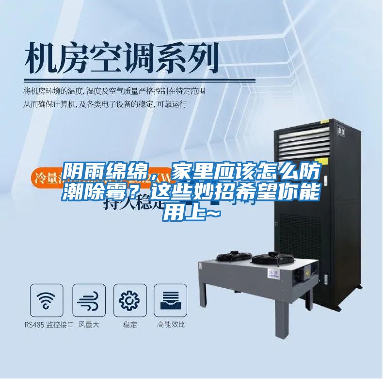 陰雨綿綿，家里應該怎么防潮除霉？這些妙招希望你能用上~