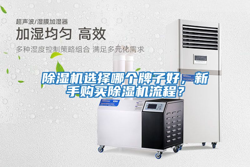 除濕機(jī)選擇哪個(gè)牌子好，新手購買除濕機(jī)流程？