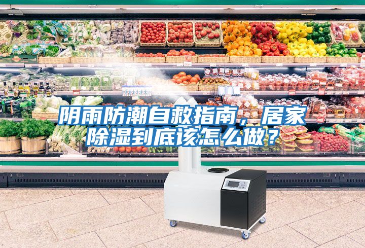 陰雨防潮自救指南，居家除濕到底該怎么做？