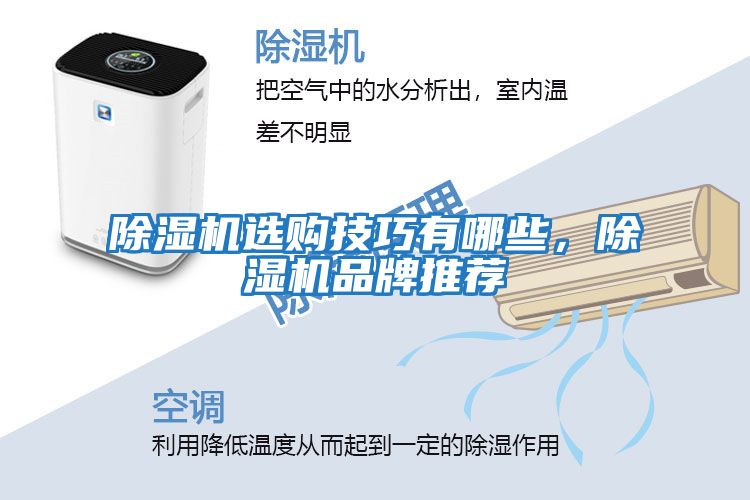 除濕機(jī)選購技巧有哪些，除濕機(jī)品牌推薦