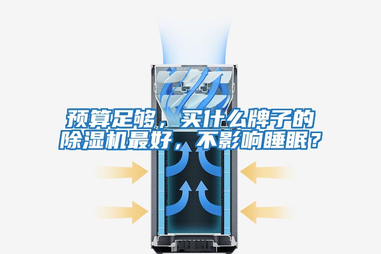 預(yù)算足夠，買什么牌子的除濕機(jī)最好，不影響睡眠？