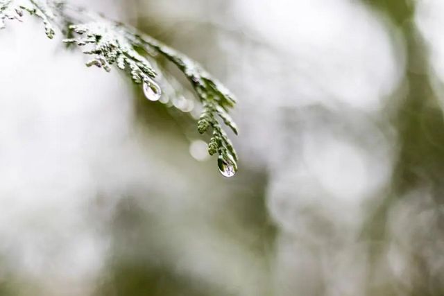 空氣濕度大帶來的危害有哪些，你知道嗎？